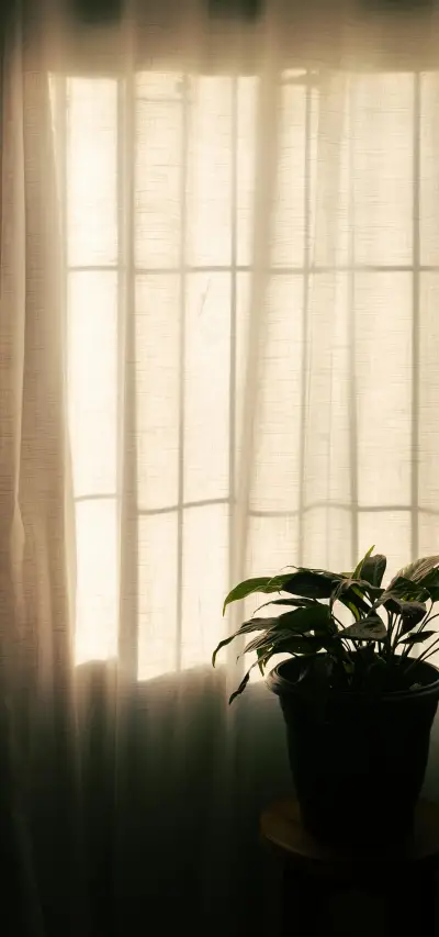 Benefícios do Tratamento